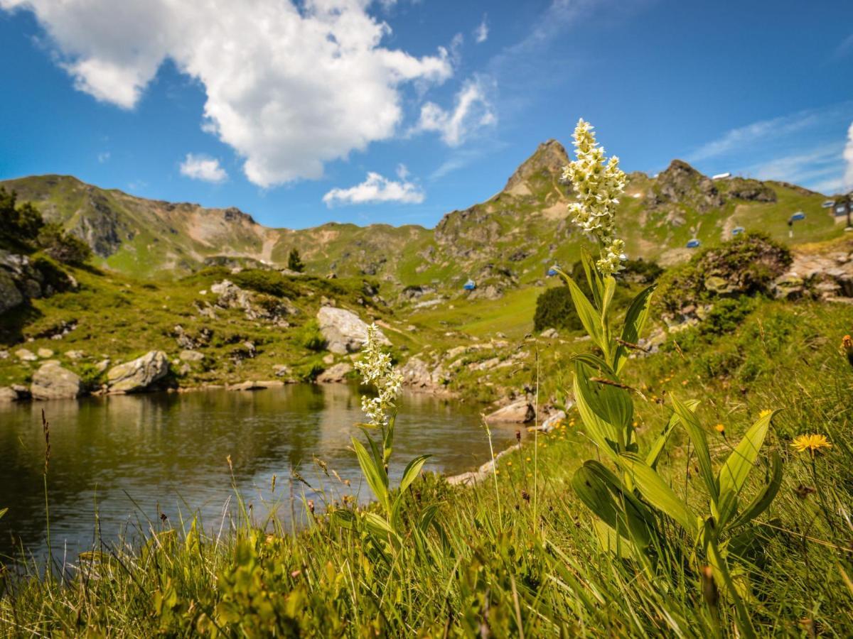 Holiday Home Steindlwald By Interhome Untertauern Zewnętrze zdjęcie